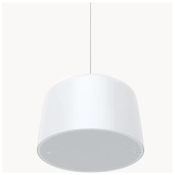 AXIS C1510 NETWORK PENDANT SPEAKER AXIS C1510 NETWORK PENDA