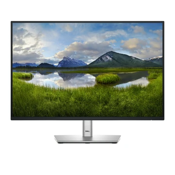 24.0 IPS LED 1920X1200 16:10 P2425E 5MS UDHTC 3Y