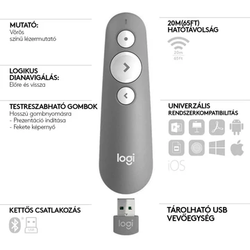Presenter Logitech Wireless R500 Grau (910-006520)