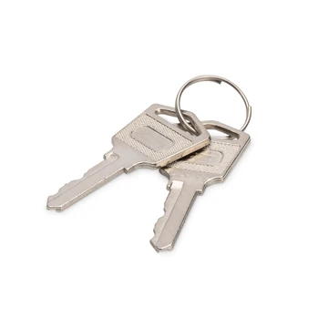KEY FOR CHARGING CABINETS 2PCS FOR DN-45000 DN-45002 DN-45005