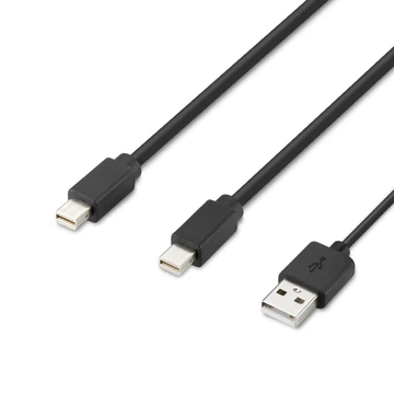 MODULAR MINI DP DUAL HEAD HOST CABLE 6 FEET