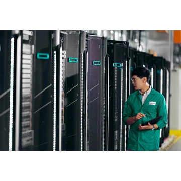 HPE DL38X G10+ 2SFF SAS/SATA TM CBL KIT