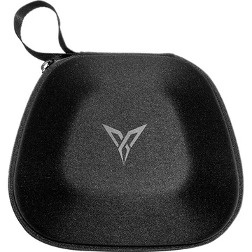 Flydigi protect case for gampad