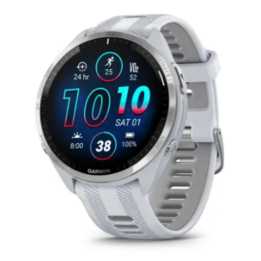FORERUNNER 965 SANDSTONE-GRAY (ED)