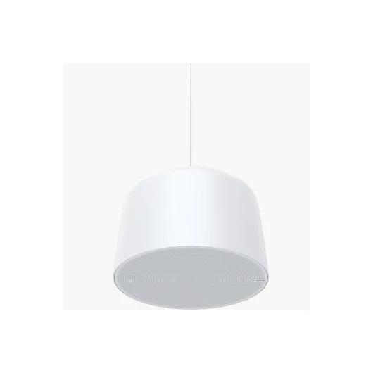 AXIS C1510 NETWORK PENDANT SPEAKER AXIS C1510 NETWORK PENDA