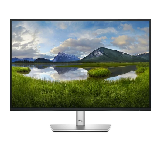 24.0 IPS LED 1920X1200 16:10 P2425E 5MS UDHTC 3Y