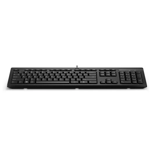 HP 125 KEYBOARD WD HP EUROPE - ENGLISH LOCALIZATION / EURO PLUG
