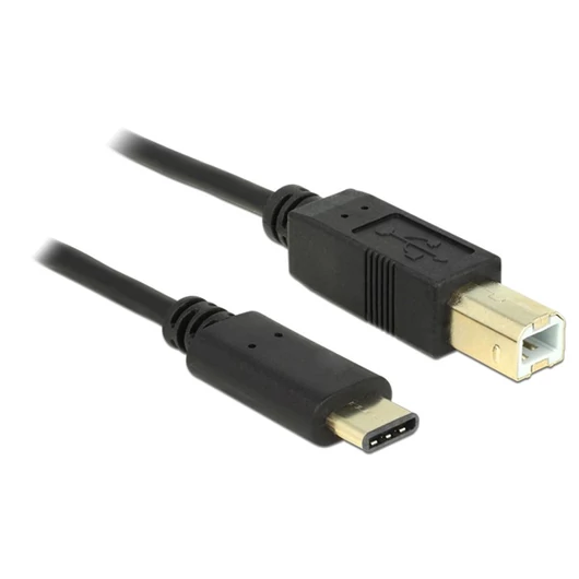 DELOCK kábel USB 2.0 Type-C > Type-B 2m