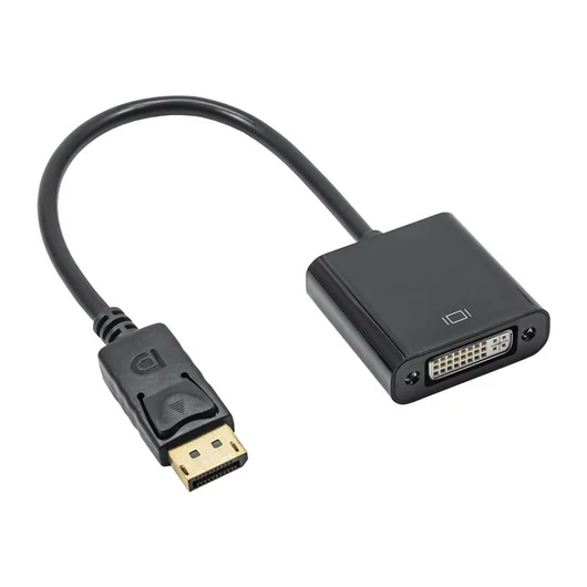 AKY AK-AD-58 Akyga converter adapter with cable AK-AD-58 DisplayPort (m) / DVI 24+5 (f) 20cm