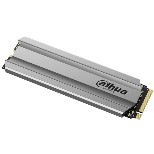 SSD Belső Dahua C900VN256G