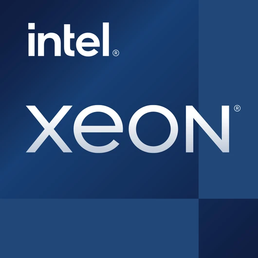 XEON W-3365 2.70GHZ SKTFCLGA16A 48.00MB CACHE TRAY