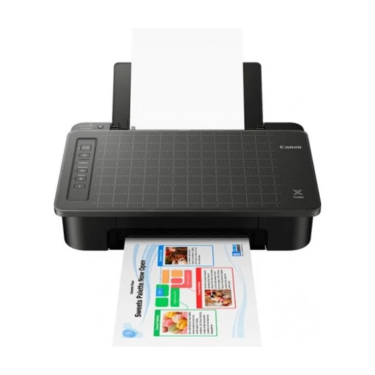 Canon PIXMA TS305 MFP