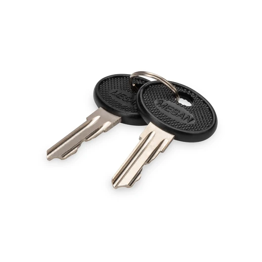 KEY FOR WALLMOUNTED SOHO PRO DN-1019 DN-DVR-1 TYPE 4444 2PCS