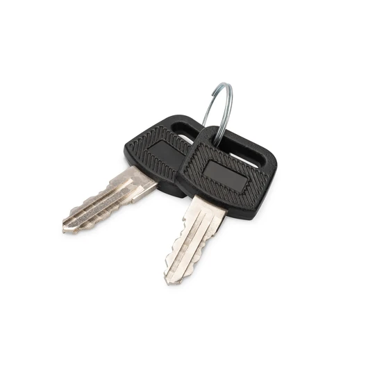 KEY FOR WALLMOUNTED SOHO 1019 FOR DN-45004+DN-45007 2 PCS