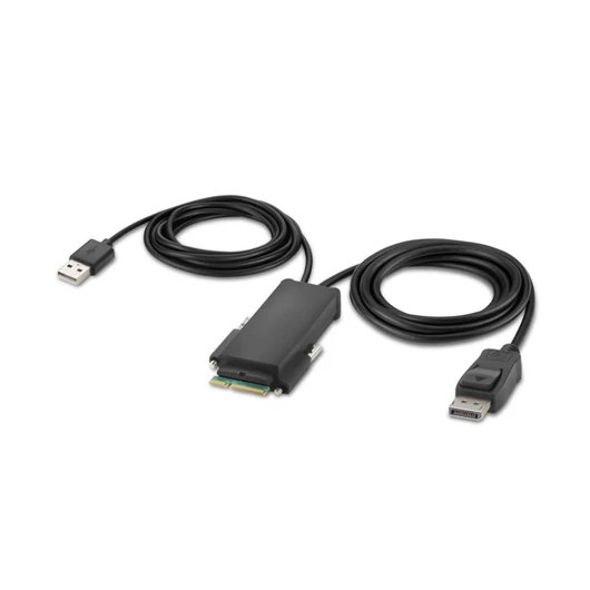 MODULAR DP SINGLE HEAD HOST CABLE 6 FEET