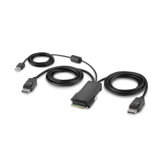 MODULAR DP DUAL HEAD HOST CABLE 6 FEET