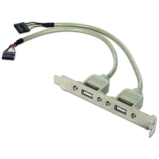 Gembird USB Pinheader 9pin -> 2db USB A F / F hátlapi kivezetés 0.25m