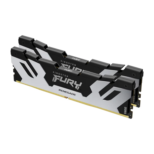 48GB DDR5-7200MT/S CL38 DIMM (KIT OF 2) RENEGADE SILVER XMP