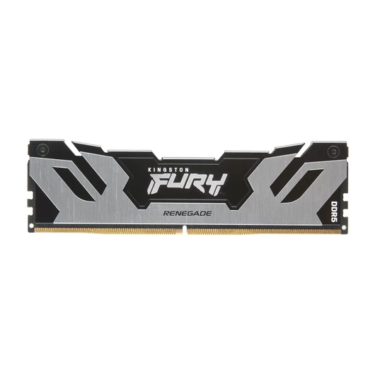 24GB DDR5 8000MT/S CL38 DIMM FURY RENEGADE SILVER
