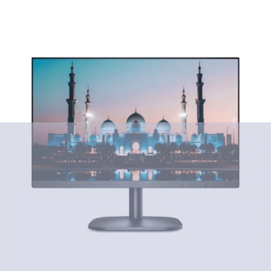 Dahua Monitor 24" - LM24-F200