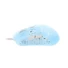 Kép 2/4 - G-Wolves Hati-S Transparent Blue