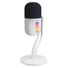 Kép 2/7 - Rampage Mikrofon - ARPEJ (állvány, RGB, kardioid, 50 Hz–18 kHz, fehér)