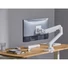 Kép 6/9 - Equip Monitor Asztali konzol - 650181 (17"-49", 1 monitor, dönthető, forgatható, Max.: 20kg, fehér)