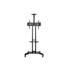 Kép 2/22 - MULTIBRACKETS gurulós padló állvány, M Public Floorstand Basic 150 incl shelf & camera holder