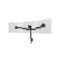 Kép 18/21 - MULTIBRACKETS Asztali konzol (3 képernyős rögzítőkar), M Deskmount Basic Triple (15-27", max.VESA: 100x100 mm, 8 kg)