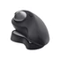 Kép 2/9 - LOGITECH 910-005179 Wireless Trackball Mouse MX Ergo - GRAPHITE - EMEA