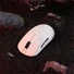 Kép 3/3 - ATK Dragonfly A9 Plus optikai USB / vezeték nélküli gaming egér fehér