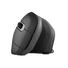 Kép 11/19 - TRUST Ergonomikus vezeték nélküli egér 23507 (Verro Ergonomic Wireless Mouse)