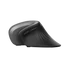 Kép 16/19 - TRUST Ergonomikus vezeték nélküli egér 23507 (Verro Ergonomic Wireless Mouse)