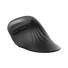 Kép 8/19 - TRUST Ergonomikus vezeték nélküli egér 23507 (Verro Ergonomic Wireless Mouse)