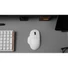 Kép 7/8 - Keychron M7 8K optikai Bluetooth / vezeték nélküli / USB egér fehér