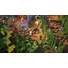 Kép 5/6 - Minecraft Dungeons Ultimate Edition (Switch)