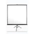 Kép 1/6 - EliteScreens 136" (1:1) mobil háromlábú vászon T136UWS1 (244 x 244 cm, Fekete)
