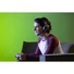 Kép 7/7 - Turtle Beach Recon 70X XBOX gaming fejhallgató headset fekete